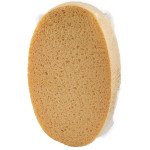 VEGETAL OVAL SPONGE