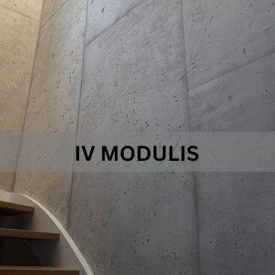 Molio tinko mokymai meistrams ir pradedantiesiems | Mr. Clay