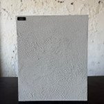 Clay Plaster Workshops for Professionals and Beginners | Mr. Clay