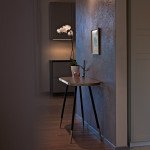 Siena "Vulkanas" 14 m2 + VIDEO