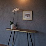 Siena "Vulkanas" 14 m2 + VIDEO